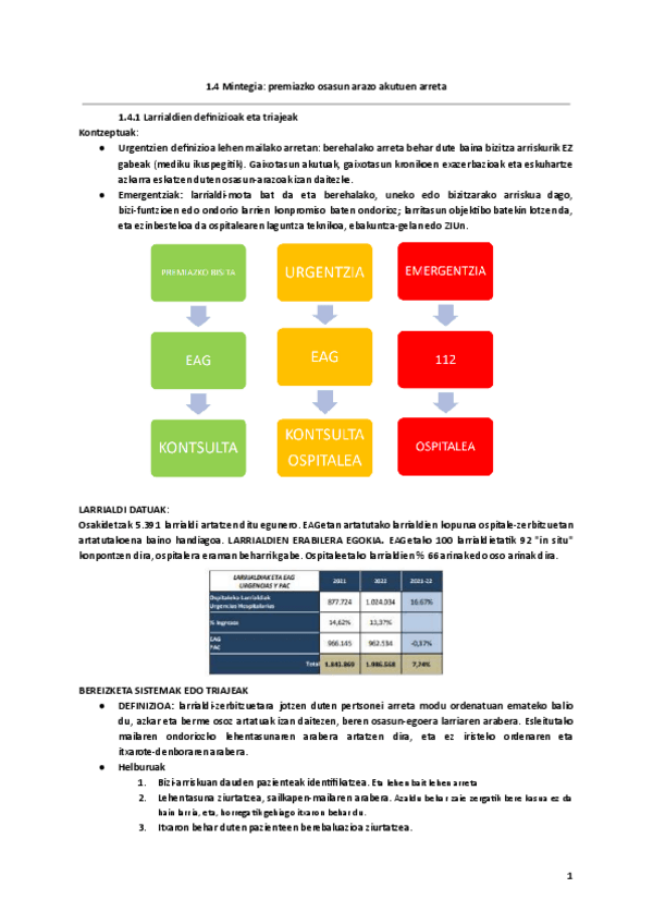 Miniatura del documento 1.4-Mintegia-premiazko-osasun-arazo-akutuen-arreta.pdf