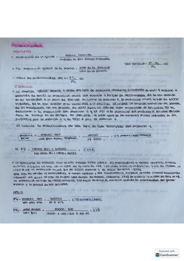 Miniatura del documento Ejercicios-productividad.pdf