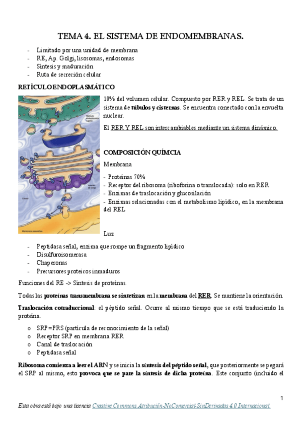 Miniatura del documento TEMA-4.-SISTEMA-ENDOMEMBRANAS.pdf