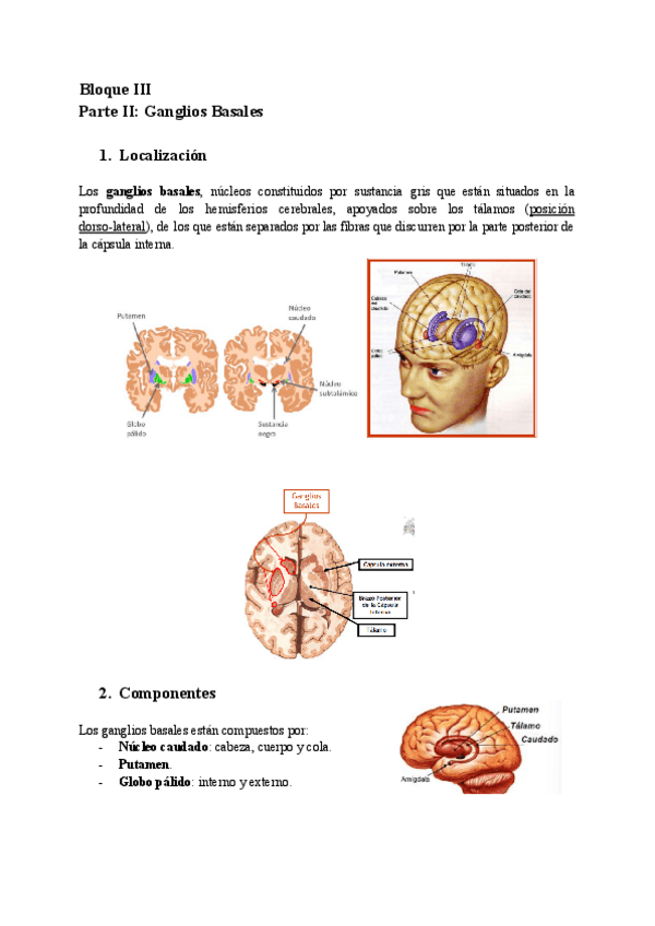 Miniatura del documento Bloque-III-Parte-II-Ganglios-Basales.pdf