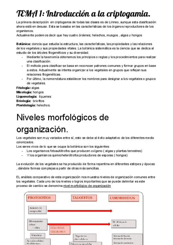 Miniatura del documento cripto temario completo.pdf