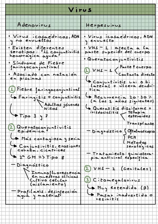 Miniatura del documento Resumen-Tema-12.pdf