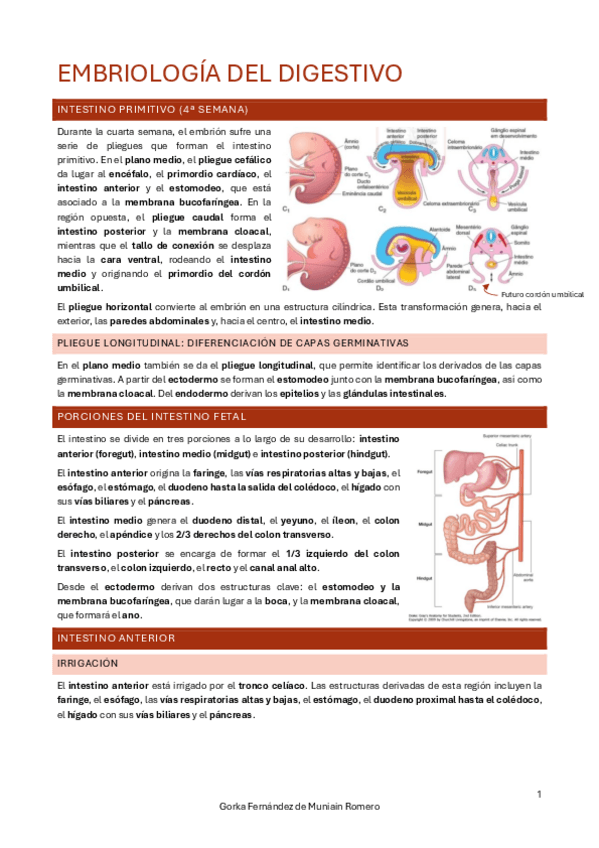 Miniatura del documento Digestivo-IV-EMBRIO.pdf
