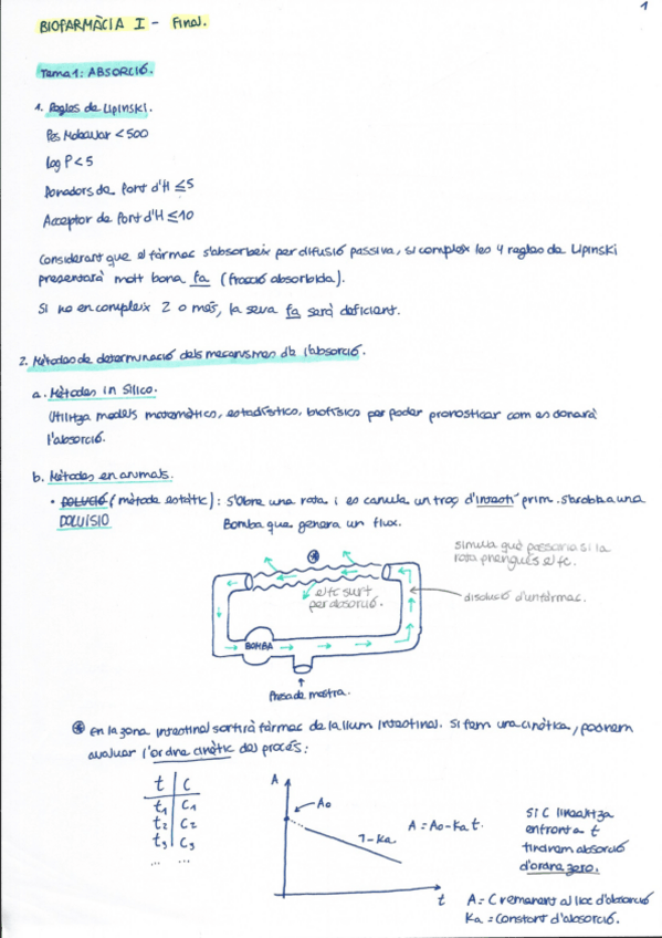 Miniatura del documento Biofarmàcia segona part.pdf