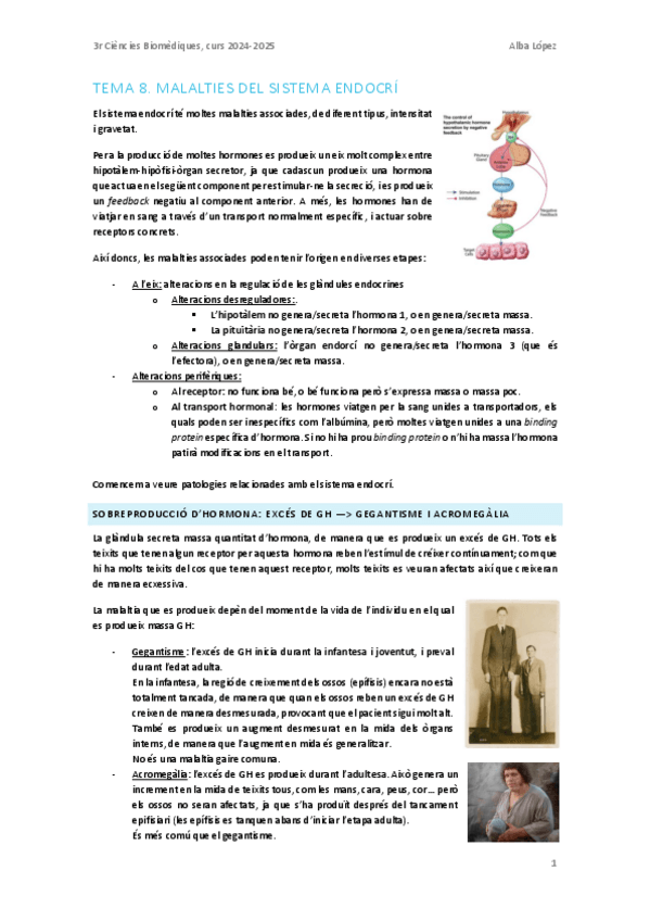 Miniatura del documento Tema-8.-Malalties-del-sistema-endocri.pdf