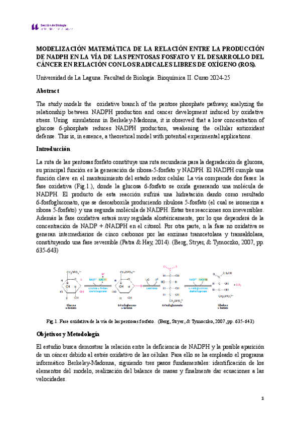 Miniatura del documento Seminario-modelizacion-Via-de-las-pentosas-fosfato.pdf