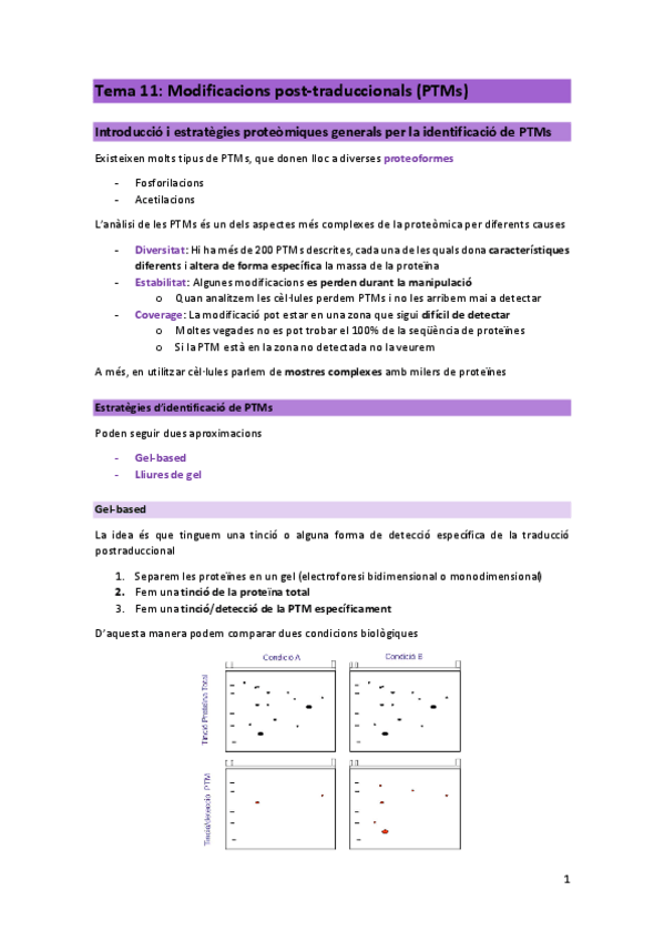Miniatura del documento T11-PRO.pdf