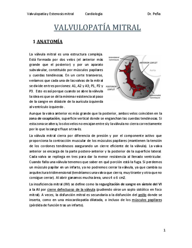 Miniatura del documento E20-Valvulopatia-mitra-Revision.pdf
