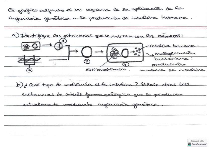 Miniatura del documento Preguntas-PAU-de-biologia-para-estudiar-para-4.pdf