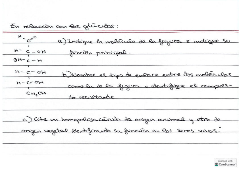 Miniatura del documento Preguntas-PAU-de-biologia-para-estudiar-para-3.pdf