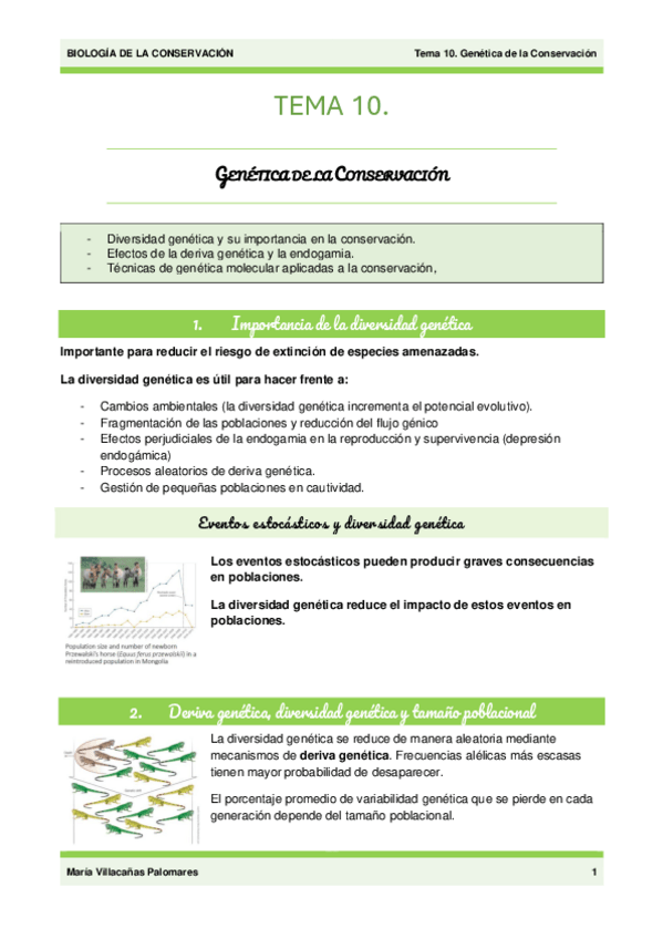 Miniatura del documento Tema-10.-Genetica-de-la-Conservacion.pdf