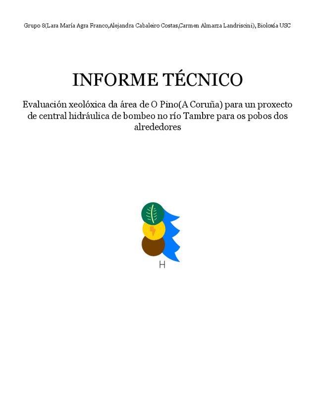 Miniatura del documento Informe-tecnicodefinitivo.pdf
