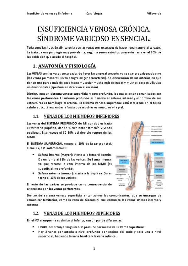 Miniatura del documento E40.-Insuficiencia-venosa-cronica.-Lifedema..pdf