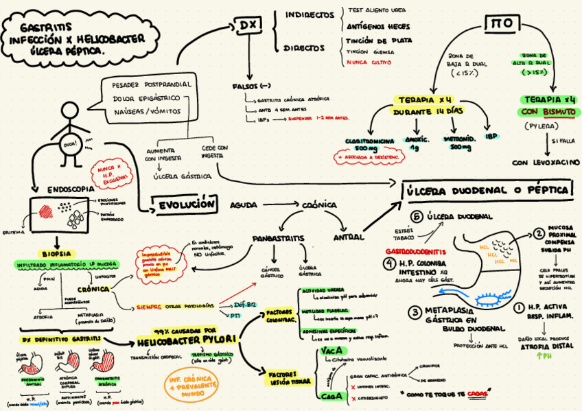 Miniatura del documento Tema-6-gastritis-H.pylori-y-ulcera-peptica.pdf