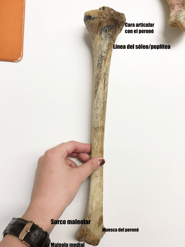 Miniatura del documento WhatsApp Image 2018-12-23 at 13.21.56.jpeg