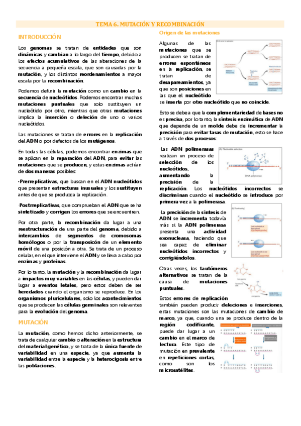 Miniatura del documento Tema 6 Genética molecular, Mutación y recombinación.pdf