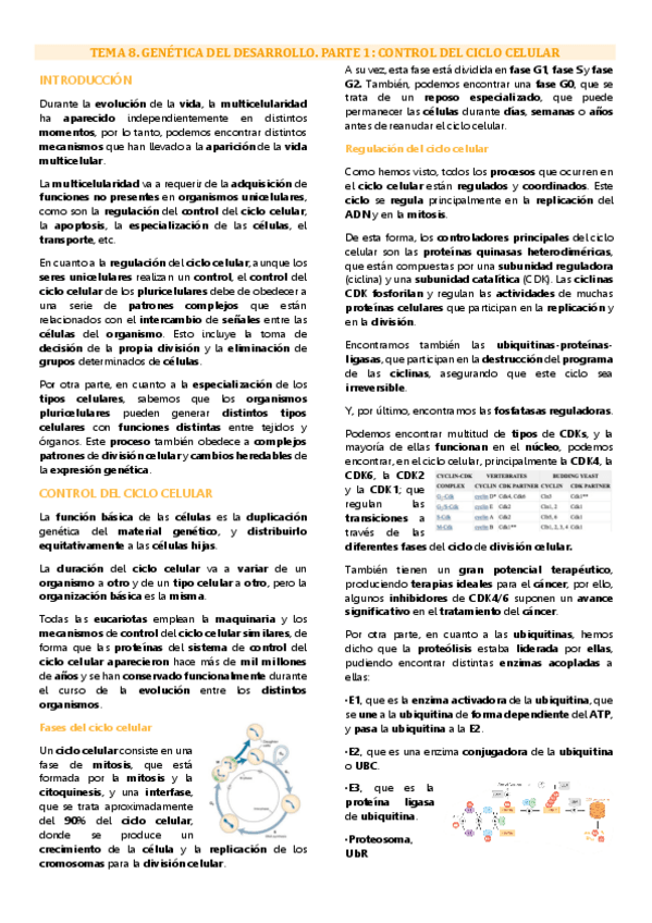 Miniatura del documento Tema 8.1 Genética molecular, Control del ciclo celular.pdf