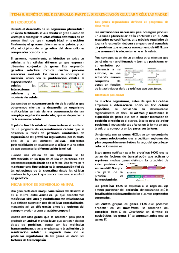 Miniatura del documento Tema 8.2 Genética molecular, Diferenciación celular y células madre.pdf