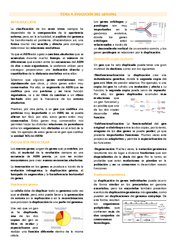 Miniatura del documento Tema 9 Genética molecular, Evolución del genoma.pdf