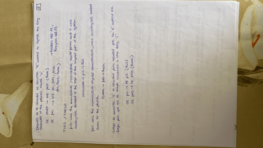 Miniatura del documento C60DBF51-85D0-43BB-A0AD-0DF19955CEA4.jpeg