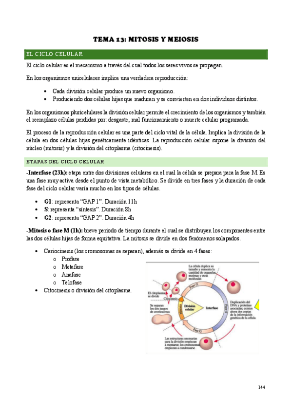 Miniatura del documento TEMA-13.pdf