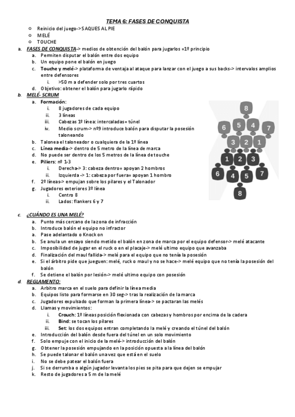 Miniatura del documento Apuntes-tema-6-rugby.pdf