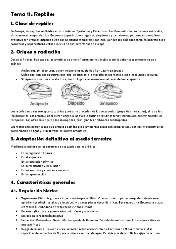 Miniatura del documento Tema-11.-Reptiles.pdf