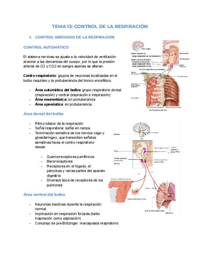 Miniatura del documento tema-13-FCH-2.pdf