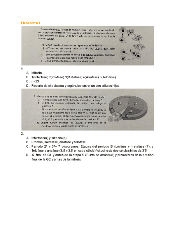 Miniatura del documento PAU-Biologia-3.pdf