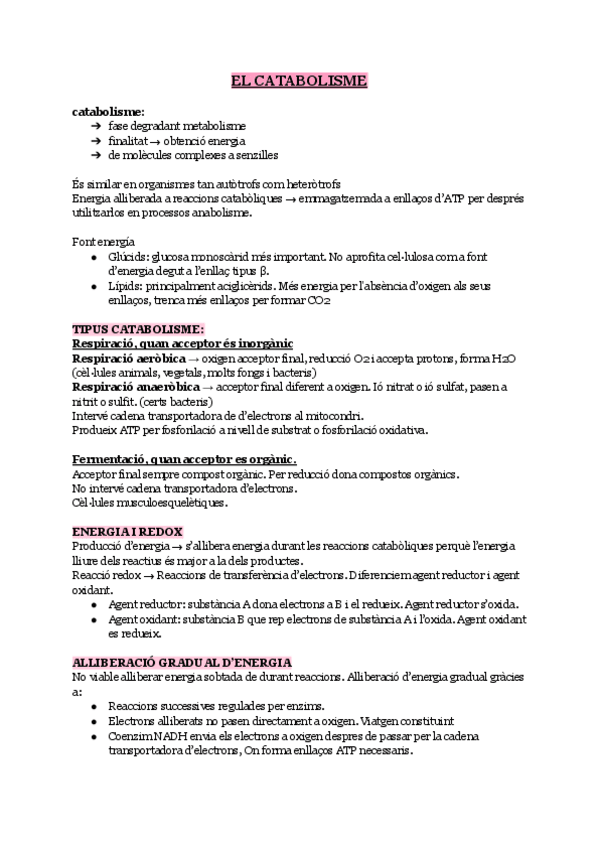 Miniatura del documento apunts-bio-T2-catabolisme.pdf