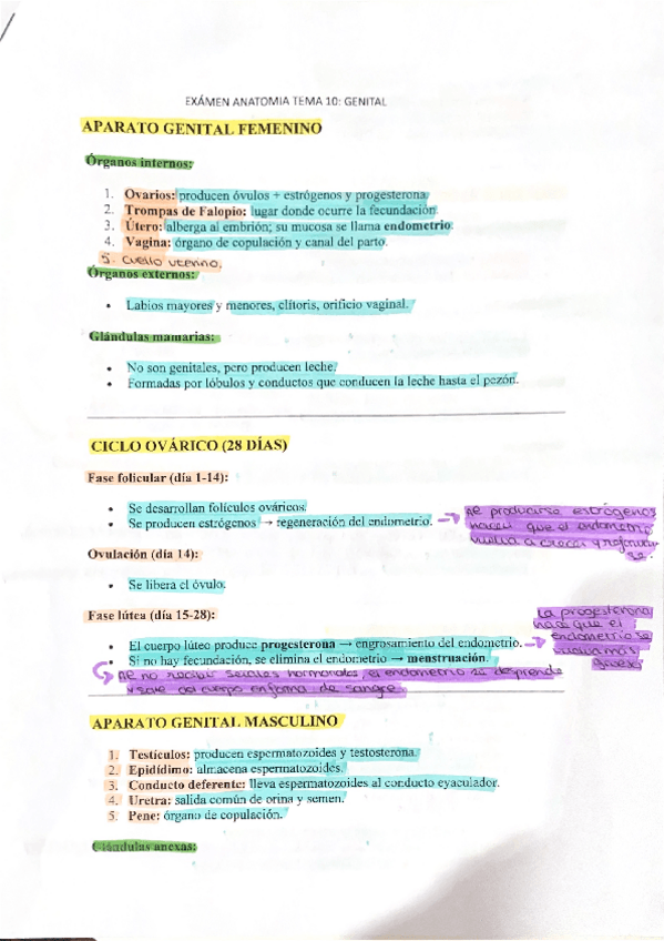 Miniatura del documento Anatomofisiologia-y-patologias-basicas-t.10-aparato-genital.pdf