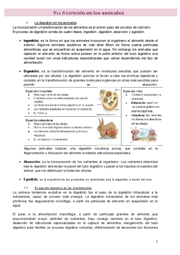 Miniatura del documento T11-Nutricion-en-los-animales.pdf