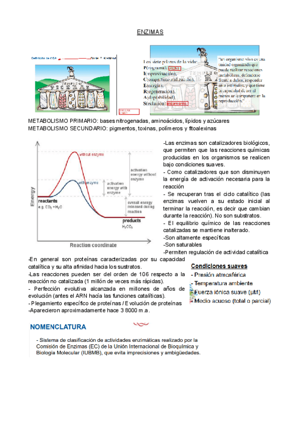 Miniatura del documento TEMARIO-ENZIMAS-COMPLETO.pdf
