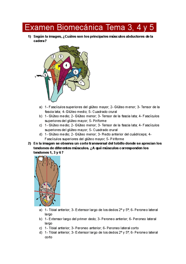 Miniatura del documento Examen-Biomecanica-Tema-3-4-y-5.pdf