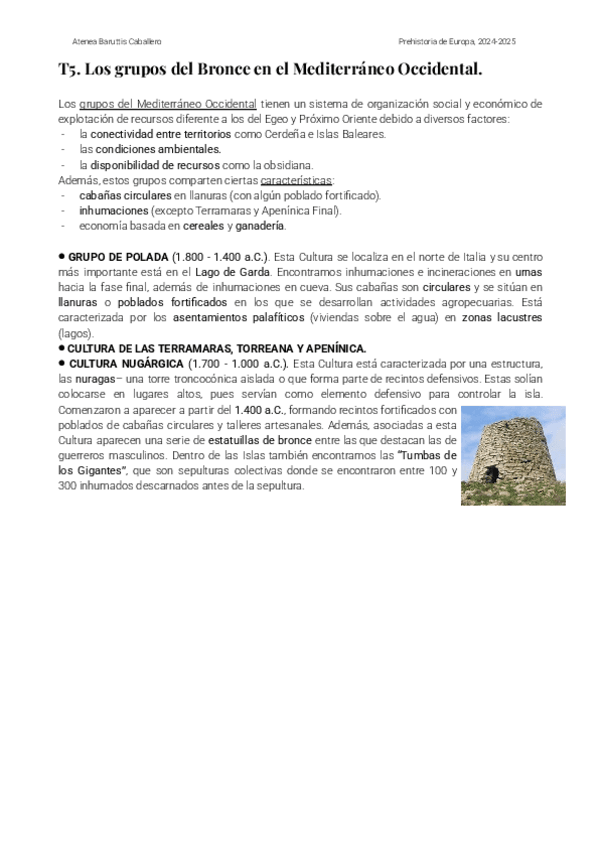 Miniatura del documento T5-Y-6.-PREHISTORIA-DE-EUROPA..pdf