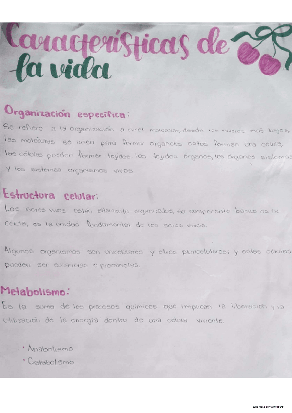 Miniatura del documento Caracteristicas-de-la-vida-resumen-biologia-basica.pdf