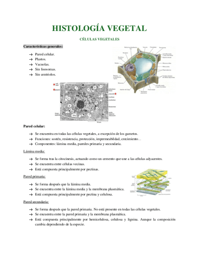 Miniatura del documento INTRODUCCION-A-LA-HISTOLOGIA-VEGETAL.pdf
