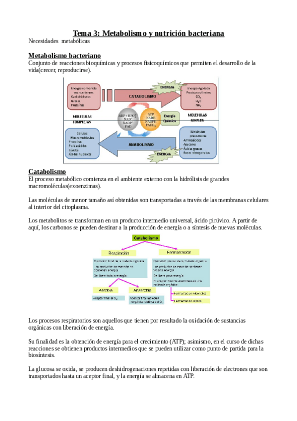 Miniatura del documento Tema-3.-Metabolismo-y-nutricion-bacteriana.pdf