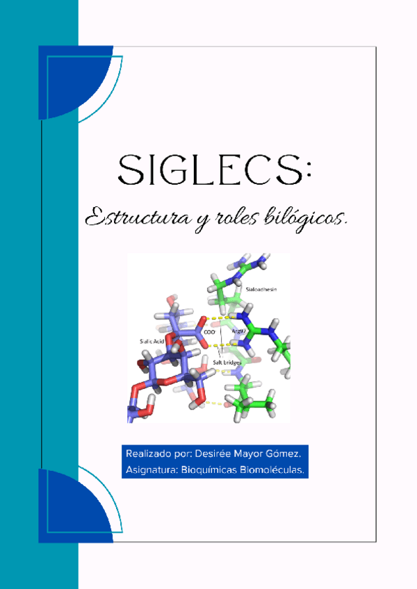 Miniatura del documento Trabajo-Siglecs..pdf
