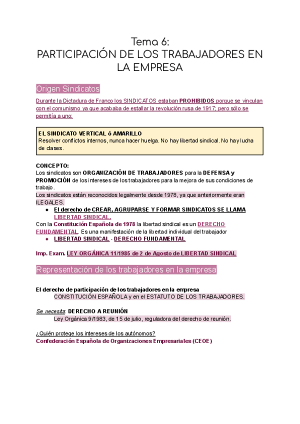 Miniatura del documento Tema-6-Participacion-de-los-Trabajadores.pdf