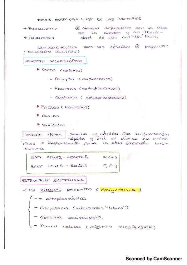 Miniatura del documento Morfologia y estructura de las bacterias.pdf