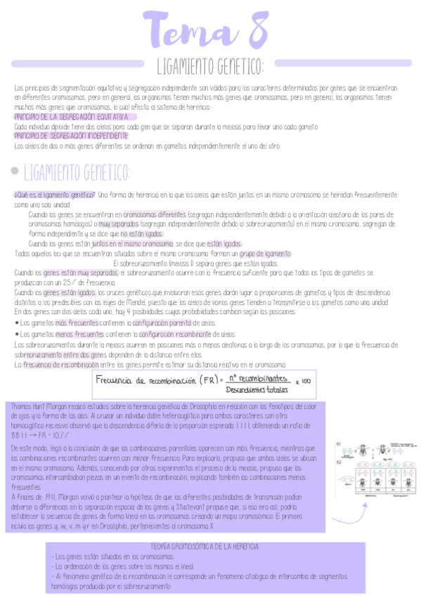 Miniatura del documento Tema-8.pdf