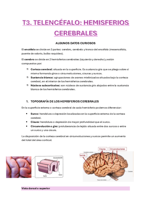 Miniatura del documento T3.-HEMISFERIOS-CEREBRALES.pdf