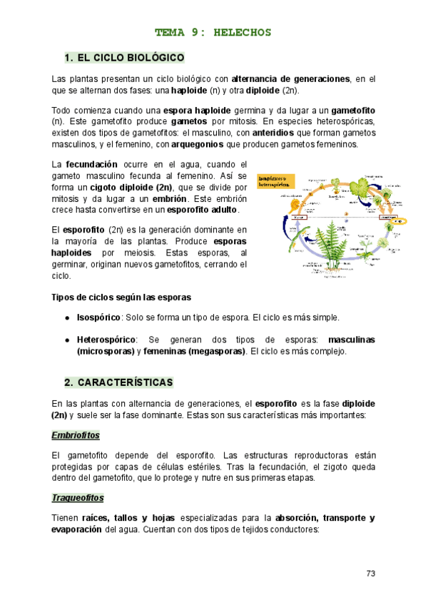 Miniatura del documento TEMA-9.pdf