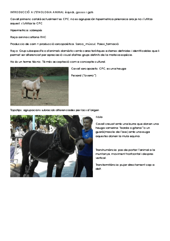 Miniatura del documento introducció a l'etnologia animal.pdf
