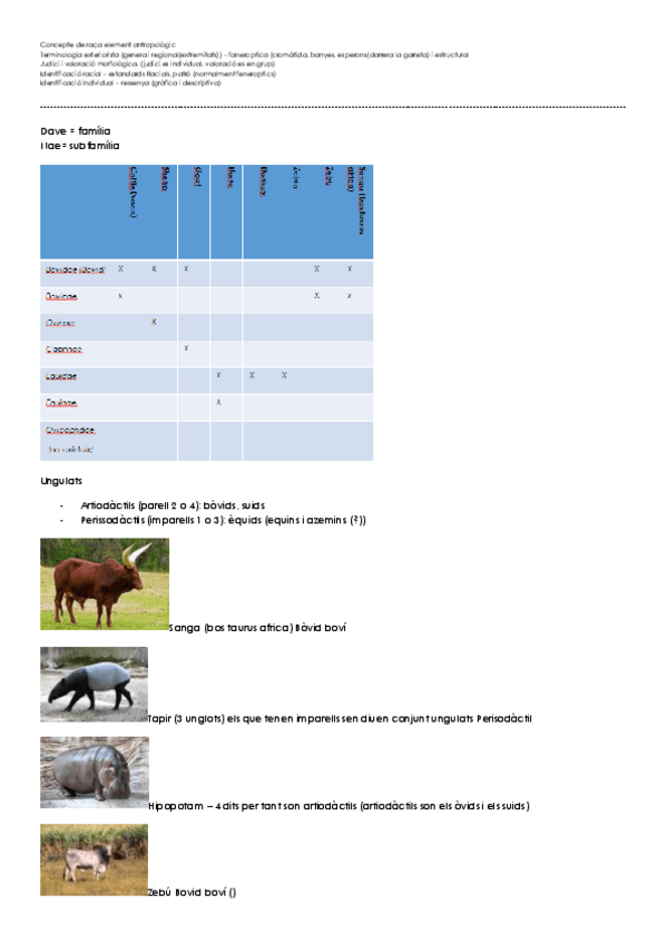 Miniatura del documento Elements d'etnologia animal.pdf