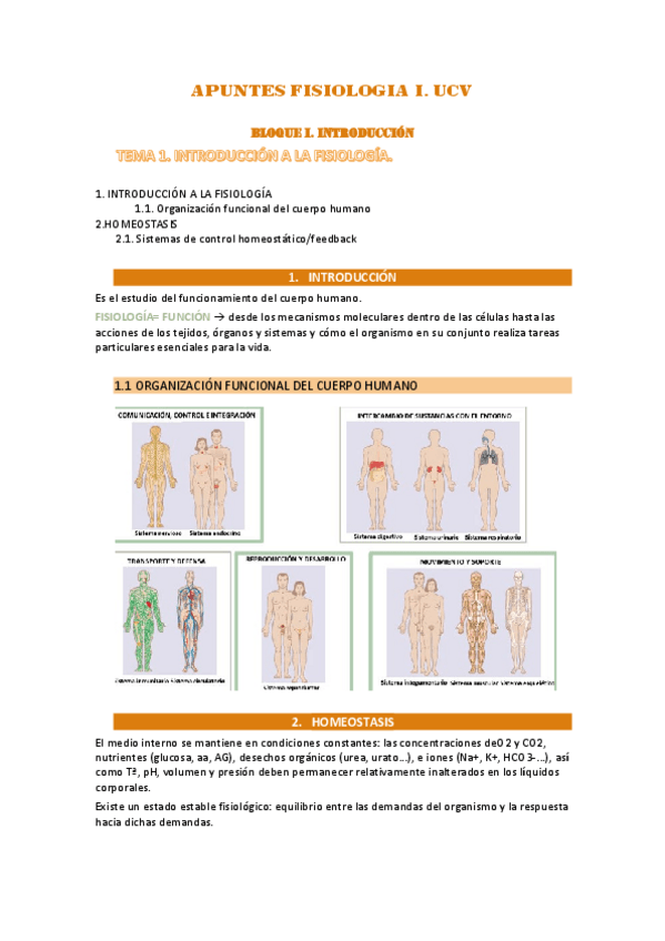 Miniatura del documento APUNTES-FISIOLOGIA-I 1º UCV.pdf