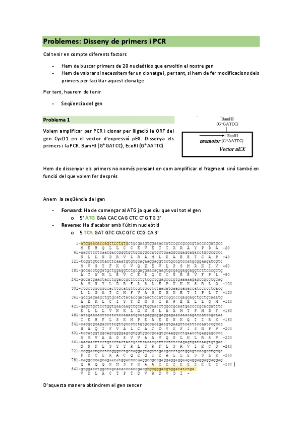 Miniatura del documento Problemes-primers-i-PCR.pdf