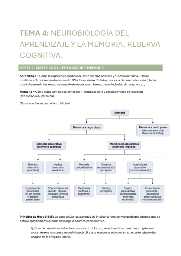 Miniatura del documento TEMA-4-FISIOLOGIA.pdf
