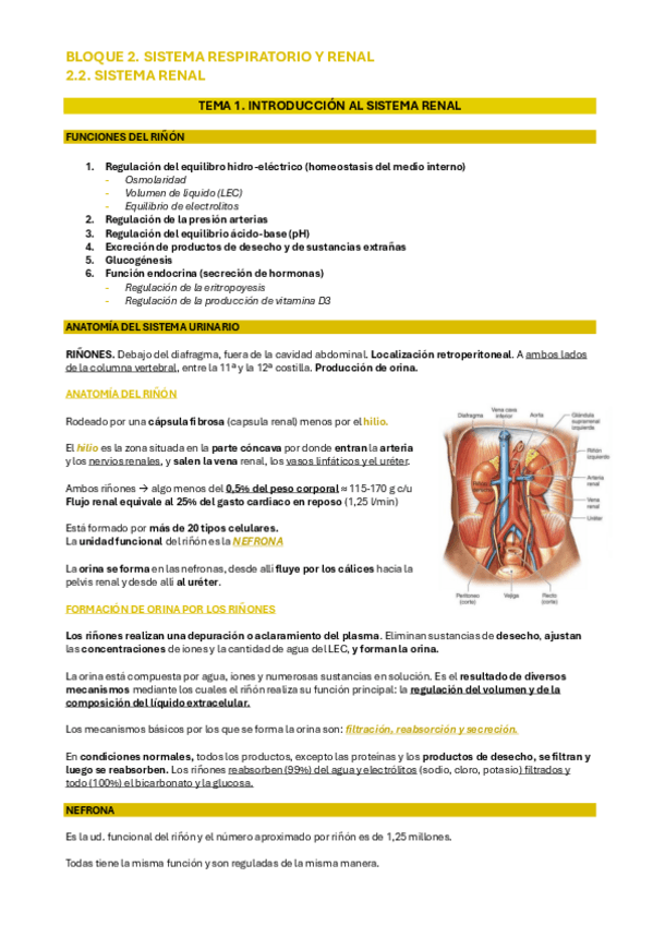 Miniatura del documento BLOQUE-2.2-renal-fisio.pdf